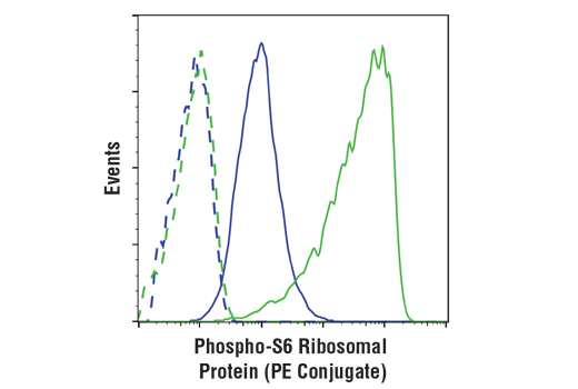 Flow Cytometry Image 1: Phospho-S6 Ribosomal Protein (Ser240/244) (D68F8) XP<sup>®</sup> Rabbit mAb (PE Conjugate)