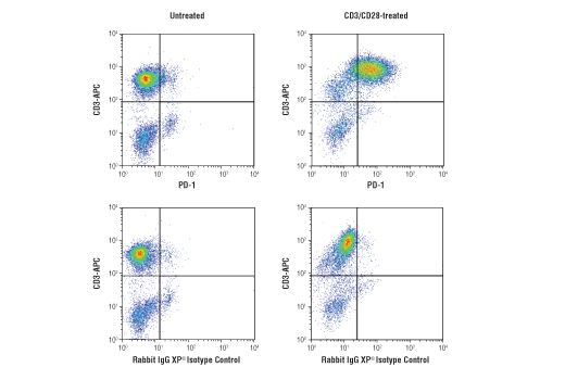 Flow Cytometry Image 1: PD-1 (Intracellular Domain) (D4W2J) XP<sup>®</sup> Rabbit mAb (BSA and Azide Free)