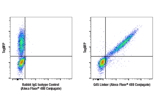 Flow Cytometry Image 3: G4S Linker (E7O2V) Rabbit Monoclonal Antibody (Alexa Fluor<sup>®</sup> 488 Conjugate)
