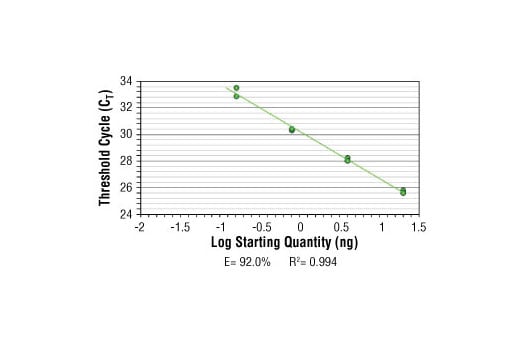 Chromatin Immunoprecipitation Image 2: SimpleChIP<sup>®</sup> Human GAPDH Promoter Primers