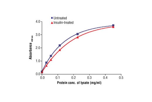 ELISA Image 3: PathScan<sup>®</sup> Total Akt2 Sandwich ELISA Kit II