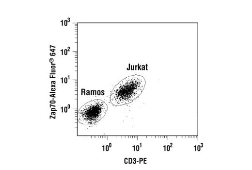 Flow Cytometry Image 2: Zap-70 (136F12) Rabbit Monoclonal Antibody (Alexa Fluor<sup>®</sup> 647 Conjugate)