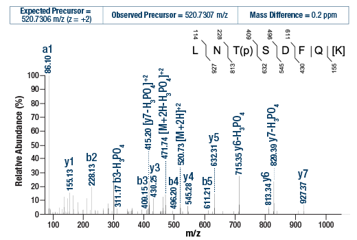 undefined Image 3: PTMScan<sup>®</sup> Control Peptides Phospho-Enrichment IMAC