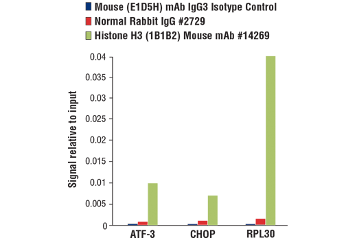 Chromatin Immunoprecipitation Image 1: Mouse (E1D5H) Monoclonal Antibody IgG3 Isotype Control