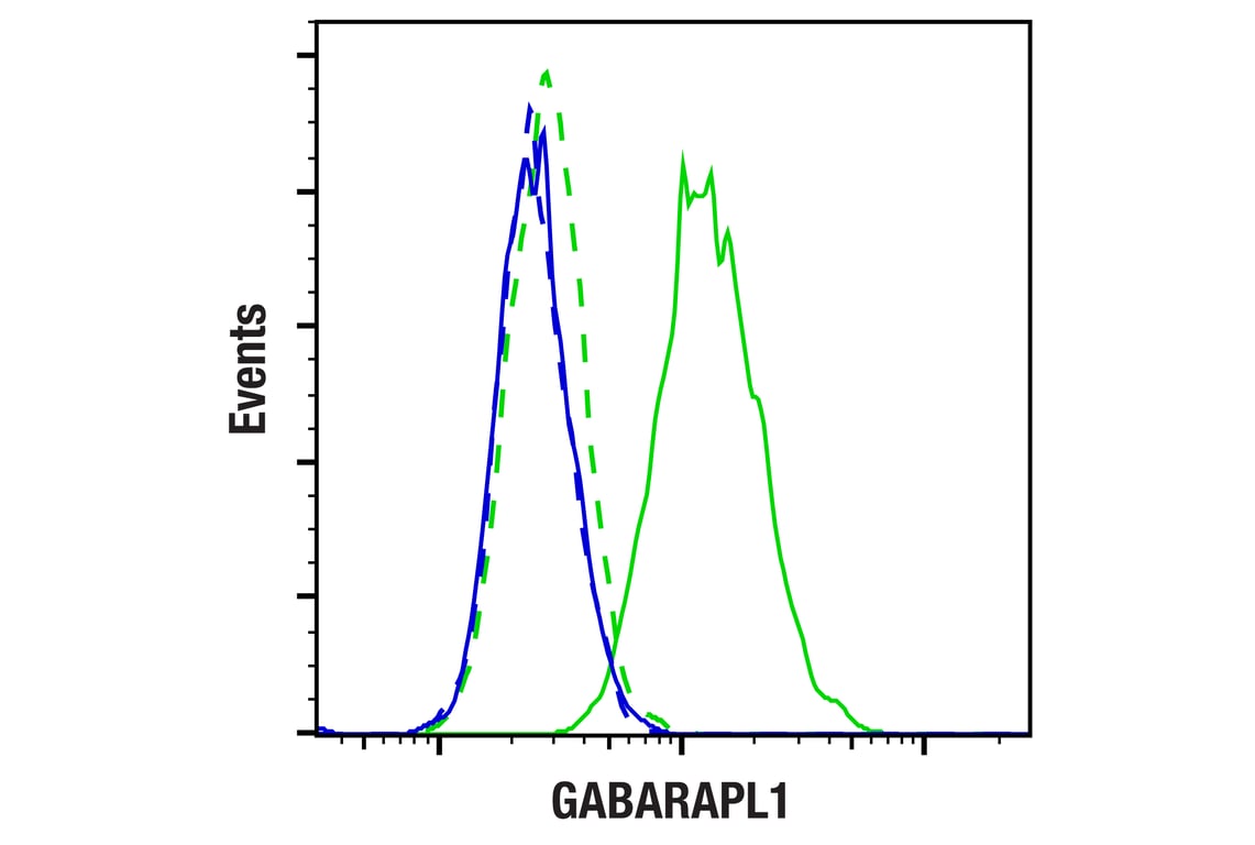 Flow Cytometry Image 1: GABARAPL1 (D5R9Y) Rabbit Monoclonal Antibody (BSA and Azide Free)