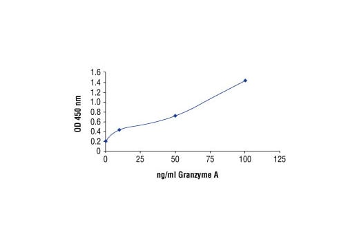 E Image 1: Granzyme A Antibody