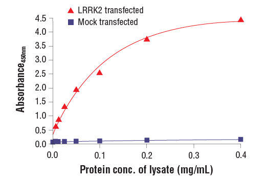ELISA Image 2: PathScan<sup>®</sup> RP Total LRRK2 Sandwich ELISA Kit