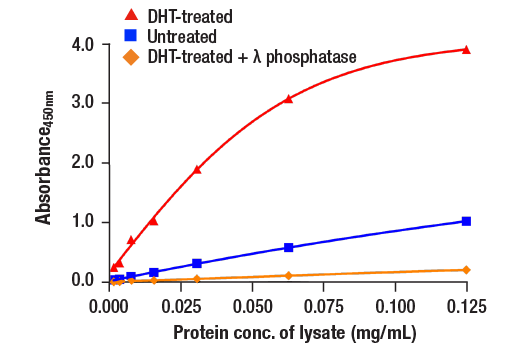 ELISA Image 1: PathScan<sup>®</sup> RP Phospho-Androgen Receptor (Ser258) Sandwich ELISA Kit