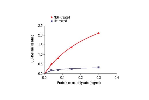 ELISA Image 2: PathScan<sup>®</sup> Phospho-TrkA (Tyr490) Sandwich ELISA Kit