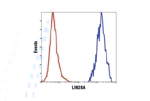 Flow Cytometry Image 1: LIN28A (D1A1A) Rabbit Monoclonal Antibody