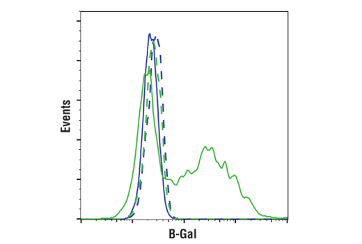 Flow Cytometry Image 1: beta-Gal (14B7) Mouse Monoclonal Antibody