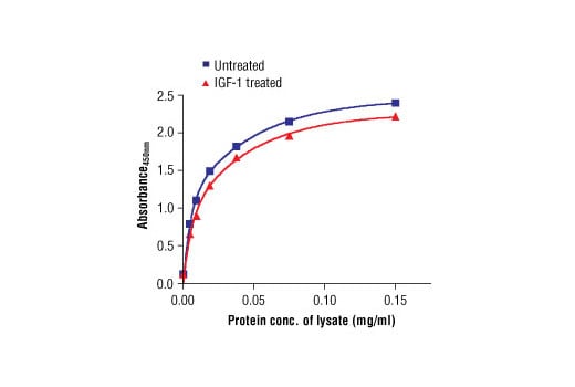 ELISA Image 2: PathScan<sup>®</sup> Total p70 S6 Kinase Sandwich ELISA Kit