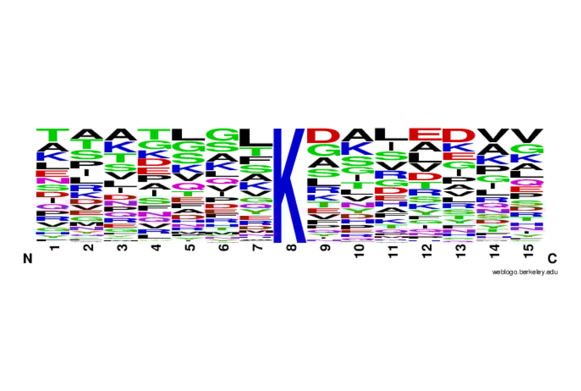 PTMScan Image 2: PTMScan<sup>®</sup> HS Pilot Pan-Methyl Lysine Kit