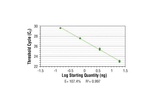 Chromatin Immunoprecipitation Image 2: SimpleChIP<sup>®</sup> Human NR4A3 Promoter Primers