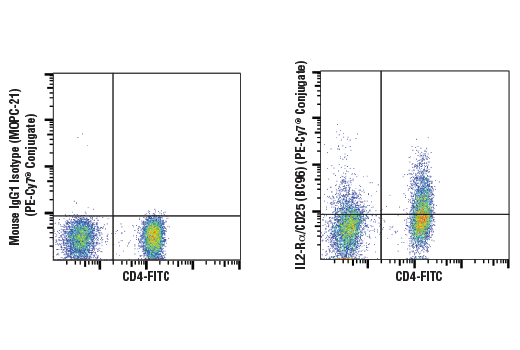 Flow Cytometry Image 1: IL2-Rα/CD25 (BC96) Mouse mAb (PE-Cy7<sup>®</sup> Conjugate)