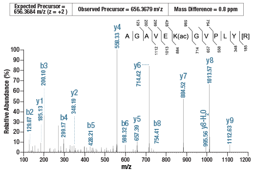 undefined Image 5: PTMScan<sup>®</sup> Control Peptides Acetyl-Lysine