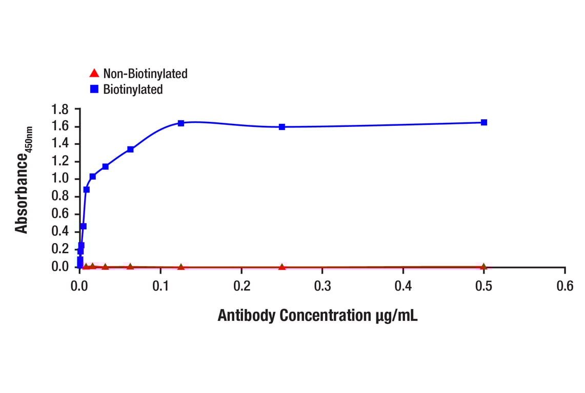 ELISA and/or ELISA-like Assays Image 1: SUZ12 (D39F6) Rabbit Monoclonal Antibody (Biotinylated)