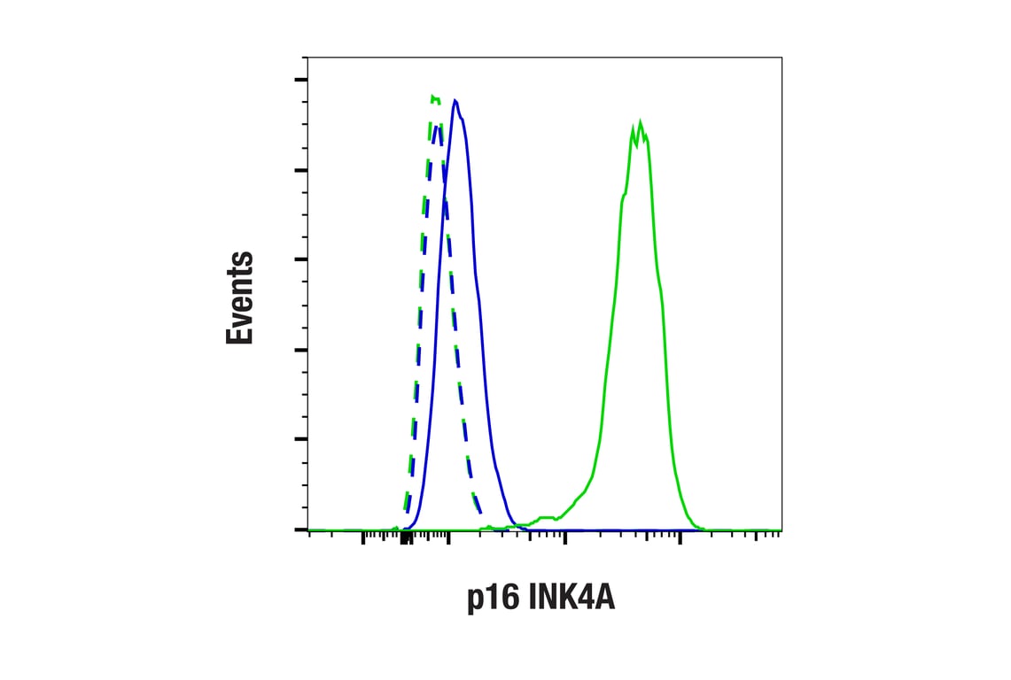 Flow Cytometry Image 1: p16 INK4A (F9T1L) Rabbit Monoclonal Antibody