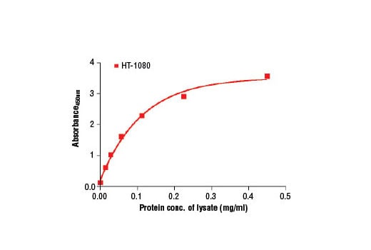 ELISA Image 2: PathScan<sup>®</sup> Total Cyclin D1 Sandwich ELISA Kit
