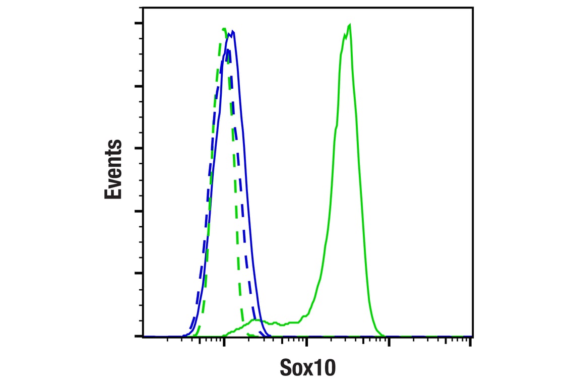 Flow Cytometry Image 1: Sox10 (D5V9L) Rabbit Monoclonal Antibody