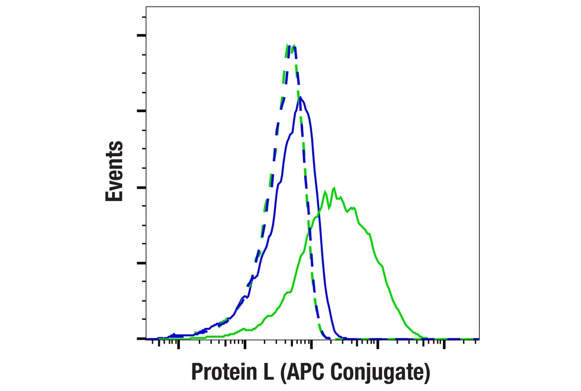 Flow Cytometry Image 3: Protein L (APC Conjugate)