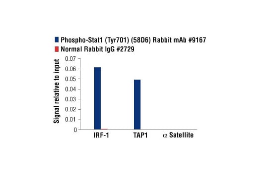 undefined Image 69: Human Reactive M1 vs M2 Macrophage IHC Antibody Sampler Kit