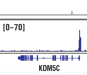 Chromatin Immunoprecipitation Image 1: PHF8 (E6K3Y) Rabbit Monoclonal Antibody