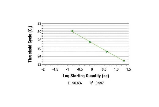 Chromatin Immunoprecipitation Image 2: SimpleChIP<sup>®</sup> Human MITF Promoter Primers