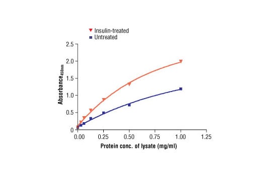 ELISA Image 2: PathScan<sup>®</sup> Phospho-IRS-1 (Ser307) Sandwich ELISA Kit