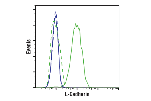 Flow Cytometry Image 1: E-Cadherin (4A2) Mouse Monoclonal Antibody (BSA and Azide Free)