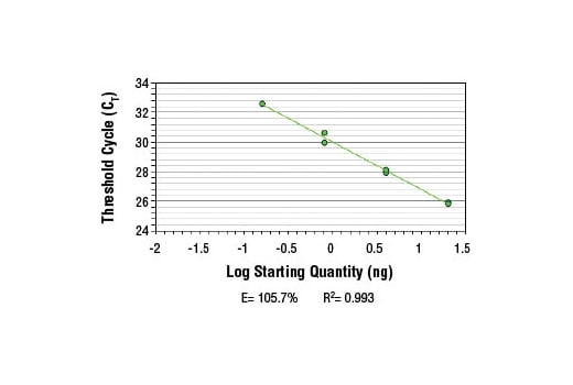 Chromatin Immunoprecipitation Image 1: SimpleChIP<sup>®</sup> Human DHFR Intron 1 Primers