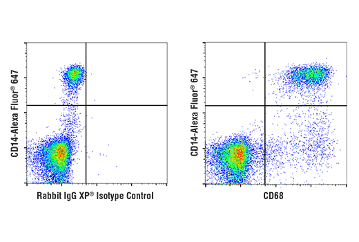 undefined Image 63: Human Reactive M1 vs M2 Macrophage IHC Antibody Sampler Kit