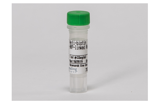 undefined Image 1: Anti-biotin, HRP-linked Antibody