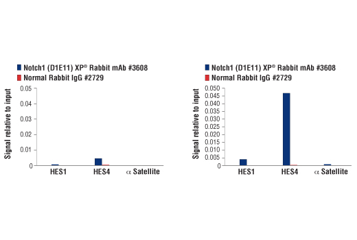 undefined Image 37: Notch Activated Targets Antibody Sampler Kit