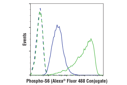 Flow Cytometry Image 1: Phospho-S6 Ribosomal Protein (Ser240/244) (D68F8) Rabbit Monoclonal Antibody (Alexa Fluor<sup>®</sup> 488 Conjugate)