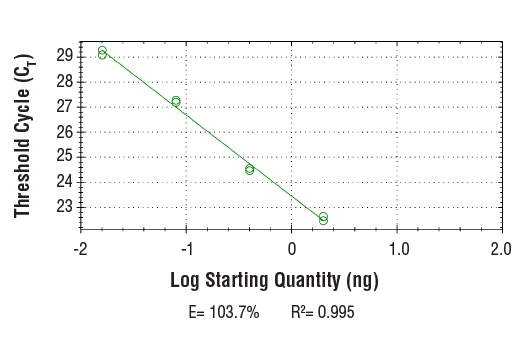 Chromatin Immunoprecipitation Image 2: SimpleChIP<sup>®</sup> Human MOXD1 Downstream Primers