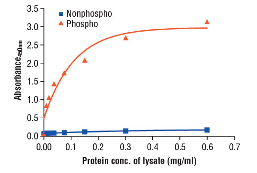 ELISA Image 2: PathScan<sup>®</sup> Phospho-Mer (panTyr) Sandwich ELISA Kit