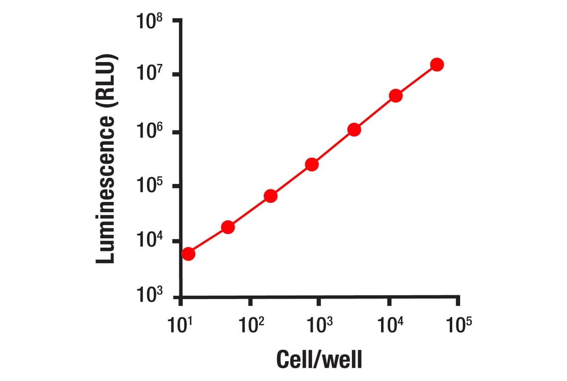 undefined Image 2: Firefly Luciferase ATP Assay Kit