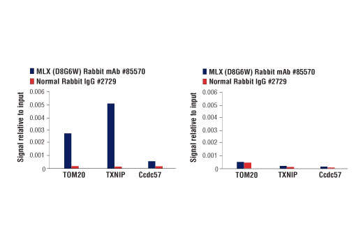 Chromatin Immunoprecipitation Image 1: MLX (D8G6W) Rabbit Monoclonal Antibody
