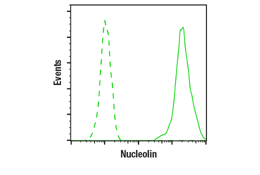 Flow Cytometry Image 1: Nucleolin (D4C7O) Rabbit Monoclonal Antibody