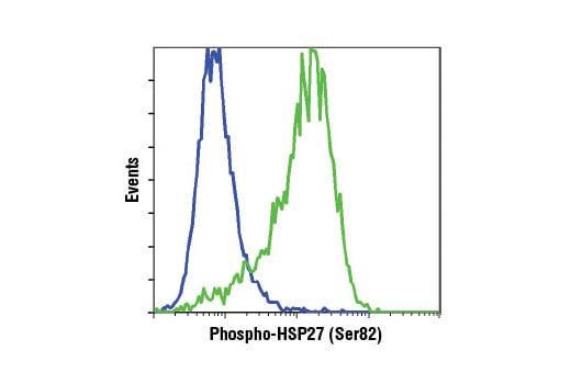 Flow Cytometry Image 1: Phospho-HSP27 (Ser82) (D1H2F6) Rabbit Monoclonal Antibody (BSA and Azide Free)