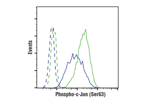 Flow Cytometry Image 1: Phospho-c-Jun (Ser63) (E6I7P) Rabbit Monoclonal Antibody