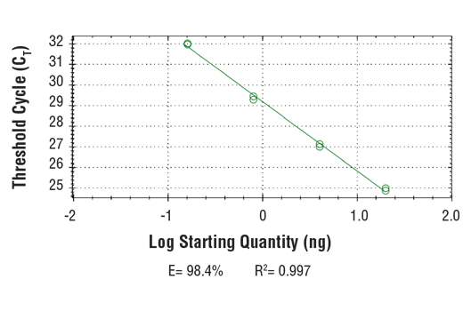 Chromatin Immunoprecipitation Image 2: SimpleChIP<sup>®</sup> Human ZNF335 Promoter Primers