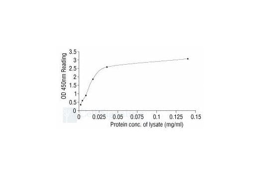 ELISA Image 2: PathScan<sup>®</sup> Phospho-HSP27 (Ser78) Sandwich ELISA Kit