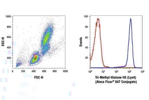 Flow Cytometry Image 1: Tri-Methyl-Histone H3 (Lys4) (C42D8) Rabbit Monoclonal Antibody (Alexa Fluor<sup>®</sup> 647 Conjugate)