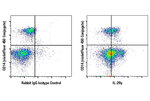 Flow Cytometry Image 1: IL-2R gamma (E1V1O) Rabbit Monoclonal Antibody