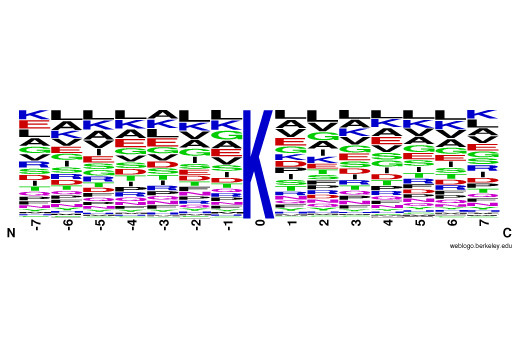 PTMScan Image 1: PTMScan<sup>®</sup> HS Succinyl-Lysine Motif (Succ-K) Kit