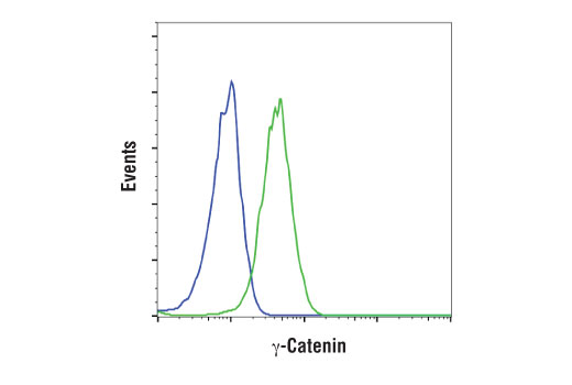 Flow Cytometry Image 1: gamma-Catenin (D9M1Q) Rabbit Monoclonal Antibody