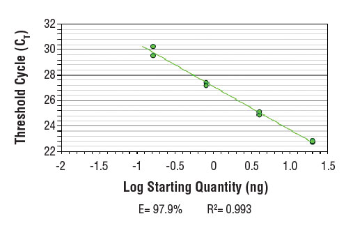 Chromatin Immunoprecipitation Image 2: SimpleChIP<sup>®</sup> Human HoxA9 Promoter Primers