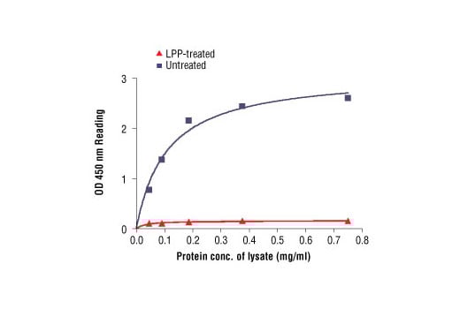ELISA Image 2: PathScan<sup>®</sup> Phospho-HER2/ErbB2 (Tyr1221/1222) Sandwich ELISA Kit